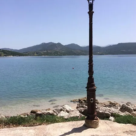 شقة Immunity